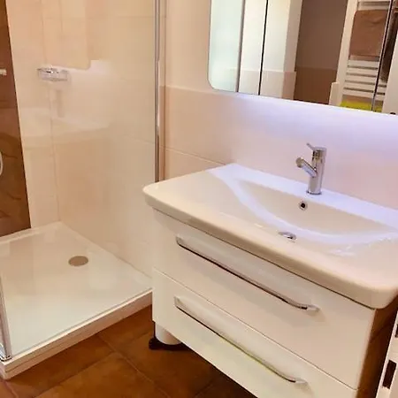 Brigitte Schoendorfer *