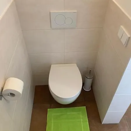 Brigitte Schoendorfer