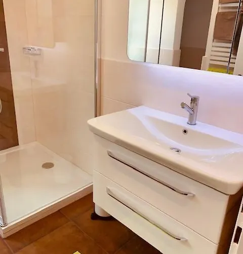 Brigitte Schöndorfer *