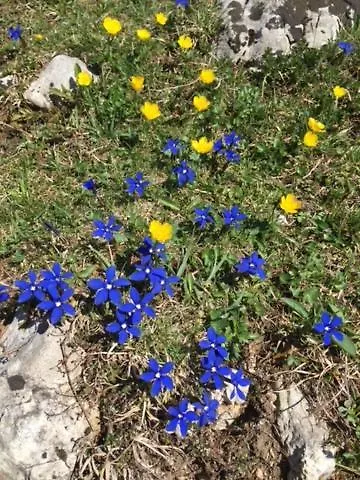 Apartment Brigitte Schöndorfer Strobl